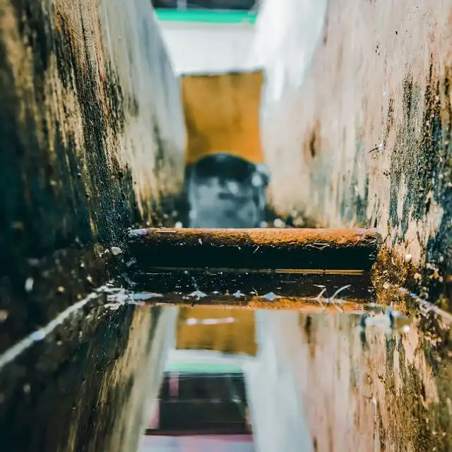 Wasserqualität in Wildeshausen Lemwerder