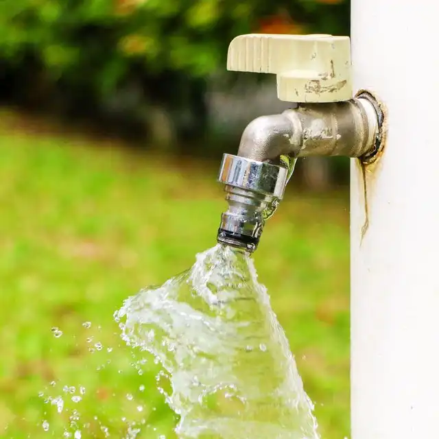 Wasserqualität in Bremen Woltmershausen