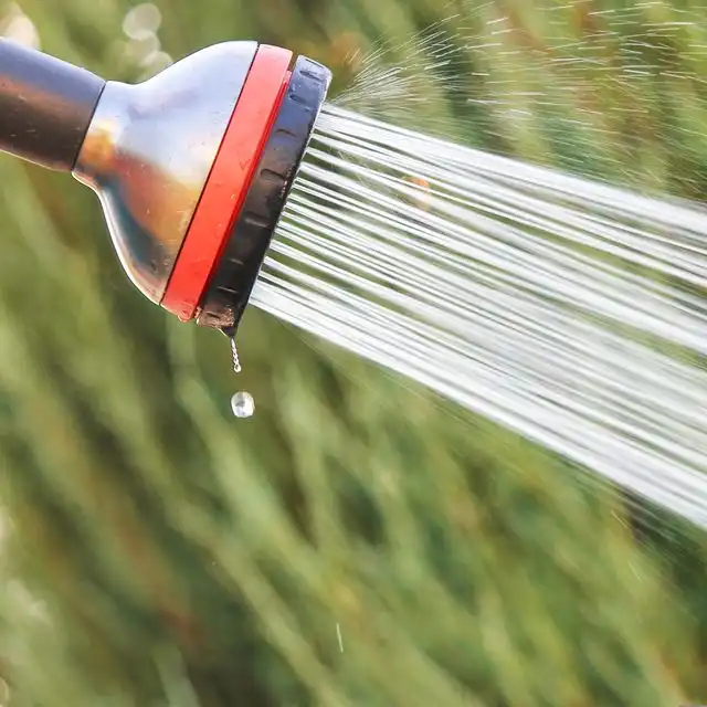 Wasserqualität in Bremen Horn Lehe